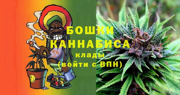 ешки Арсеньев